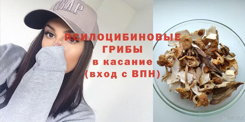 Галлюциногенные грибы Psilocybine cubensis  хочу   Белая Калитва 